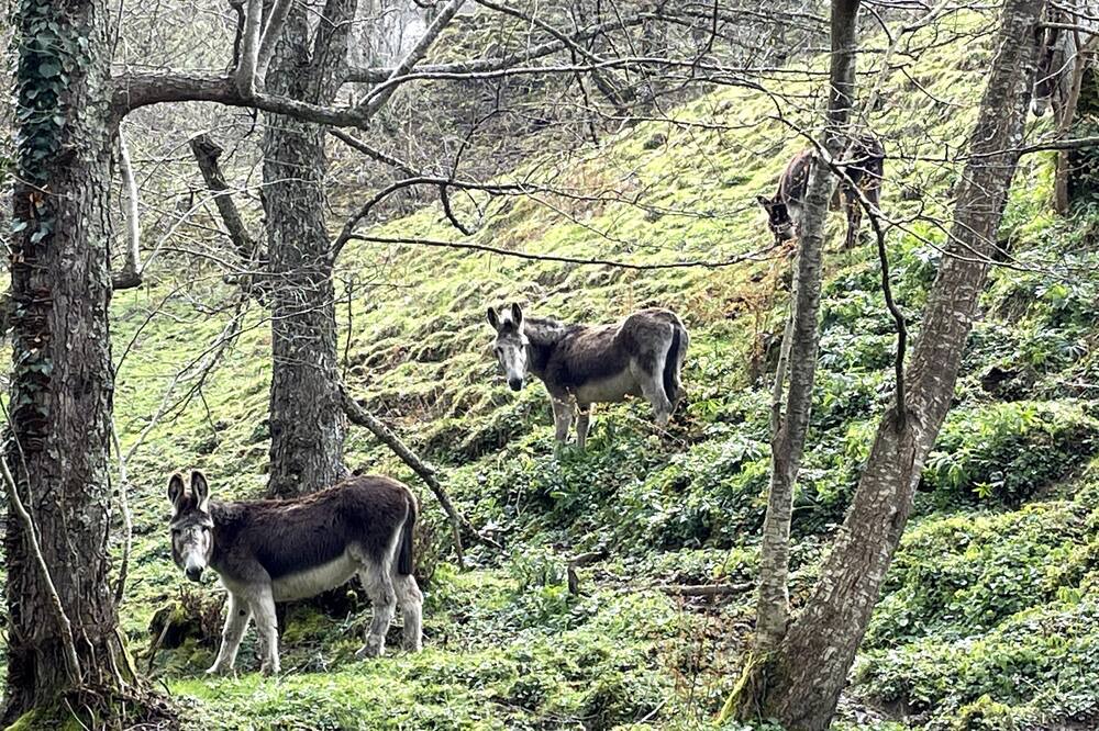 Photo of Outdoor in Labassere