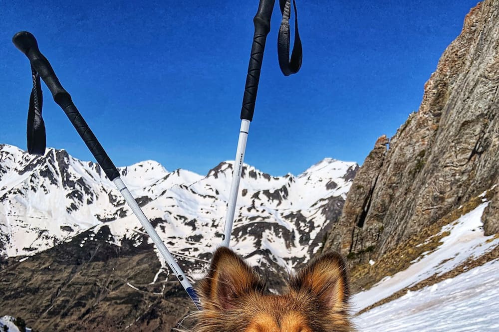 Photo of Others in Labassere