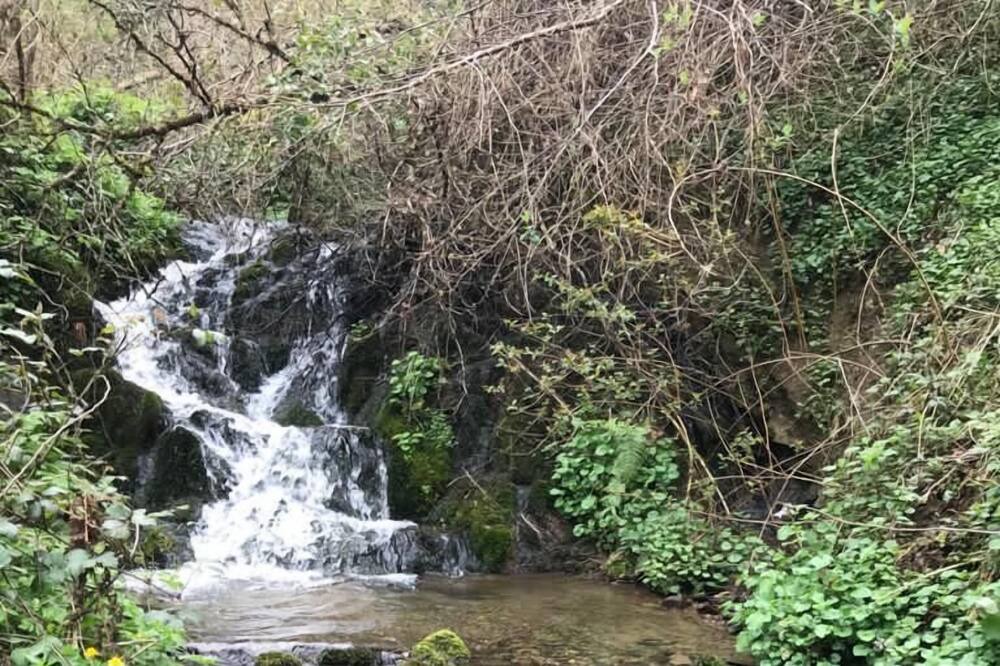 Photo of Outdoor in Labassere