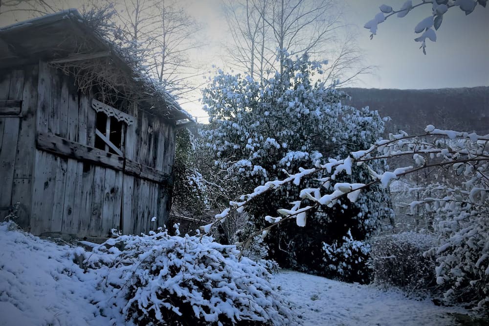 Photo of Outdoor in Labassere