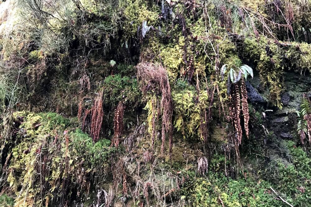 Photo of Outdoor in Labassere