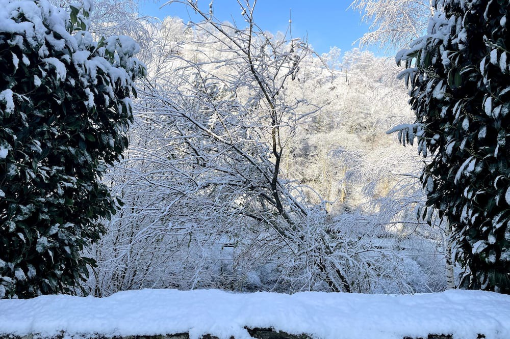 Photo of Others in Labassere