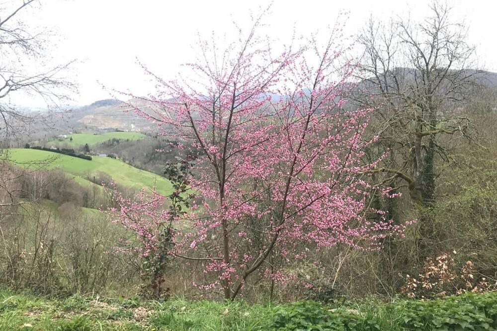 Photo of Outdoor in Labassere