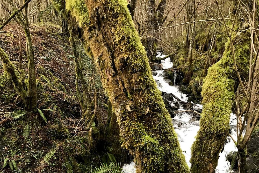 Photo of Outdoor in Labassere