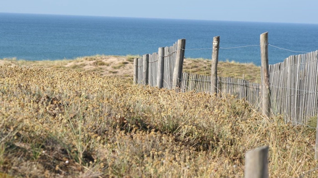 Photo of Others in Bretignolles-sur-Mer