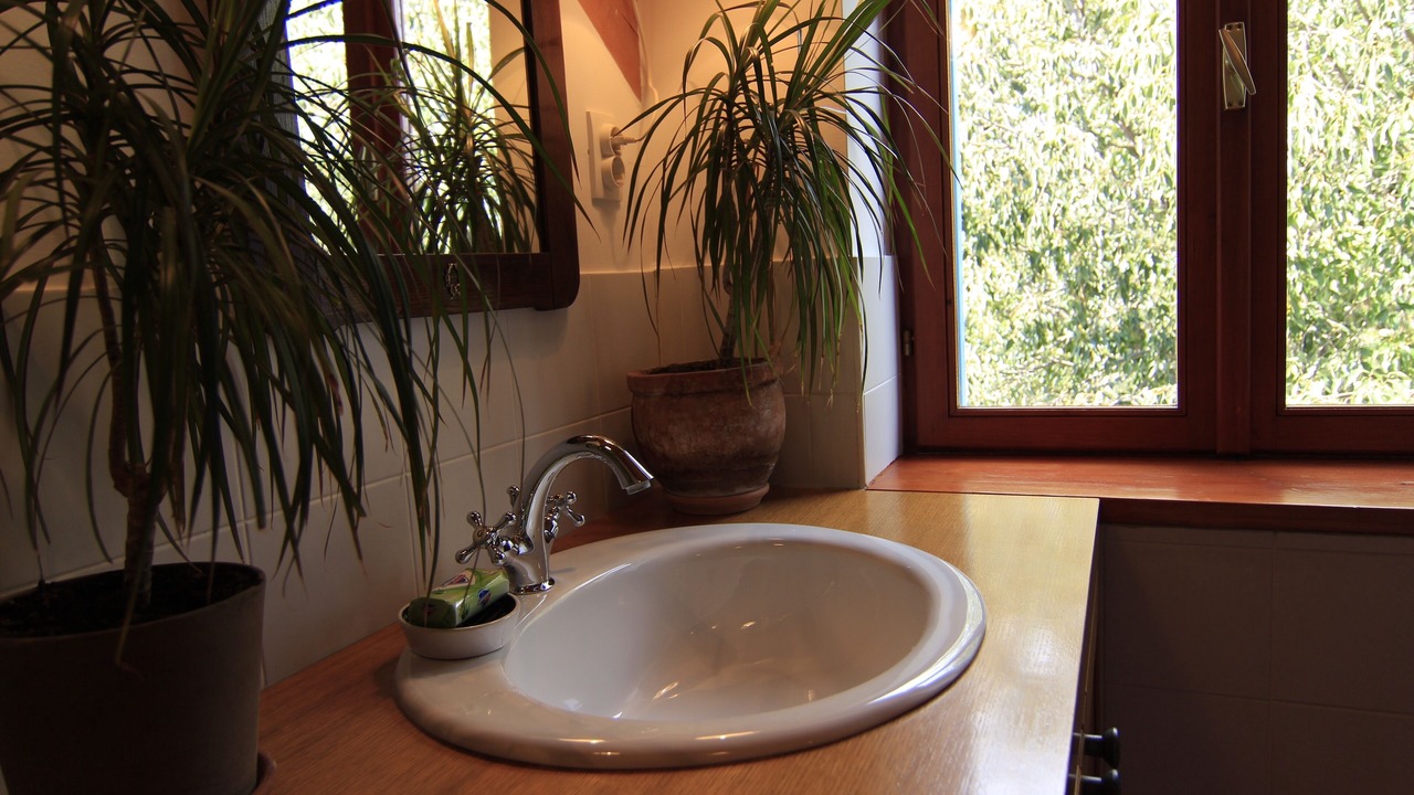 Photo of Bathroom in Dol