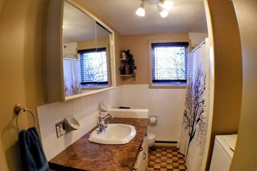 Photo of Bathroom in Deschaillons-sur-St-Laurent