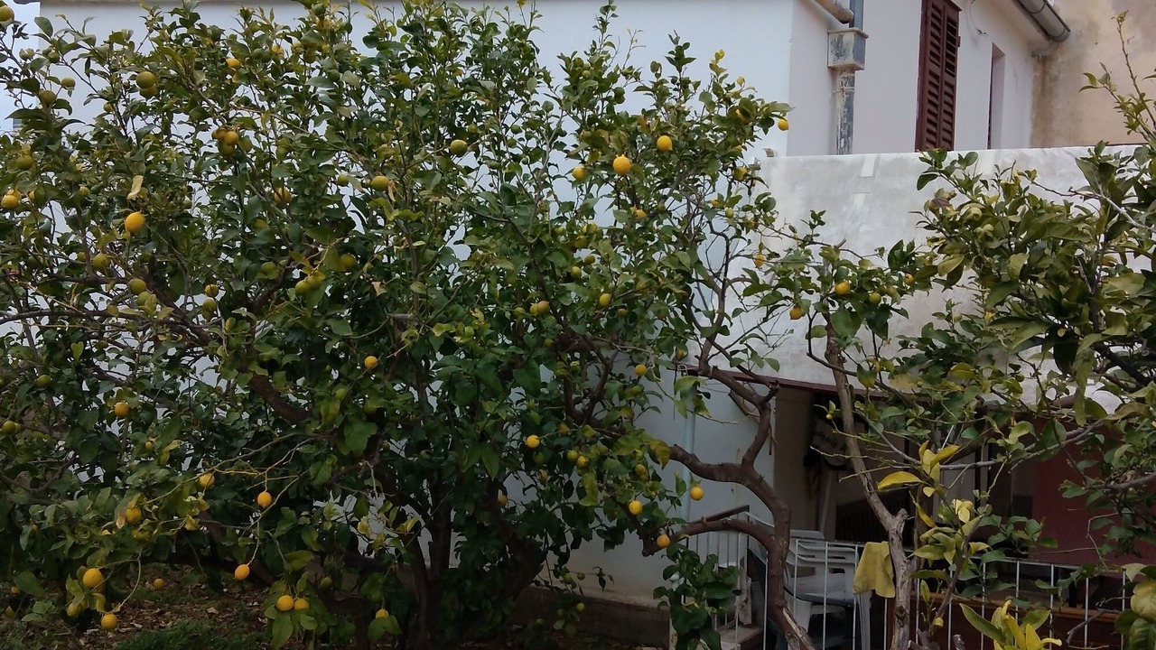 Photo of Outdoor in Veli Iz