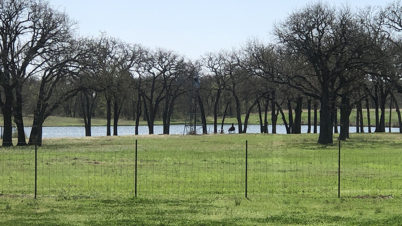 Photo of Others in Riesel
