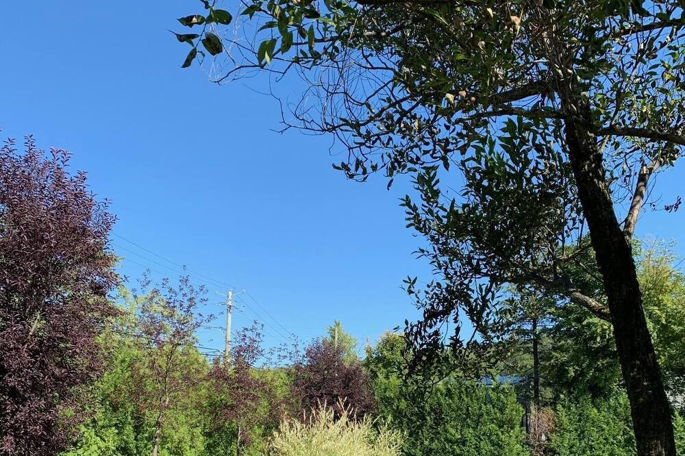 Photo of Outdoor in Lac Beauport