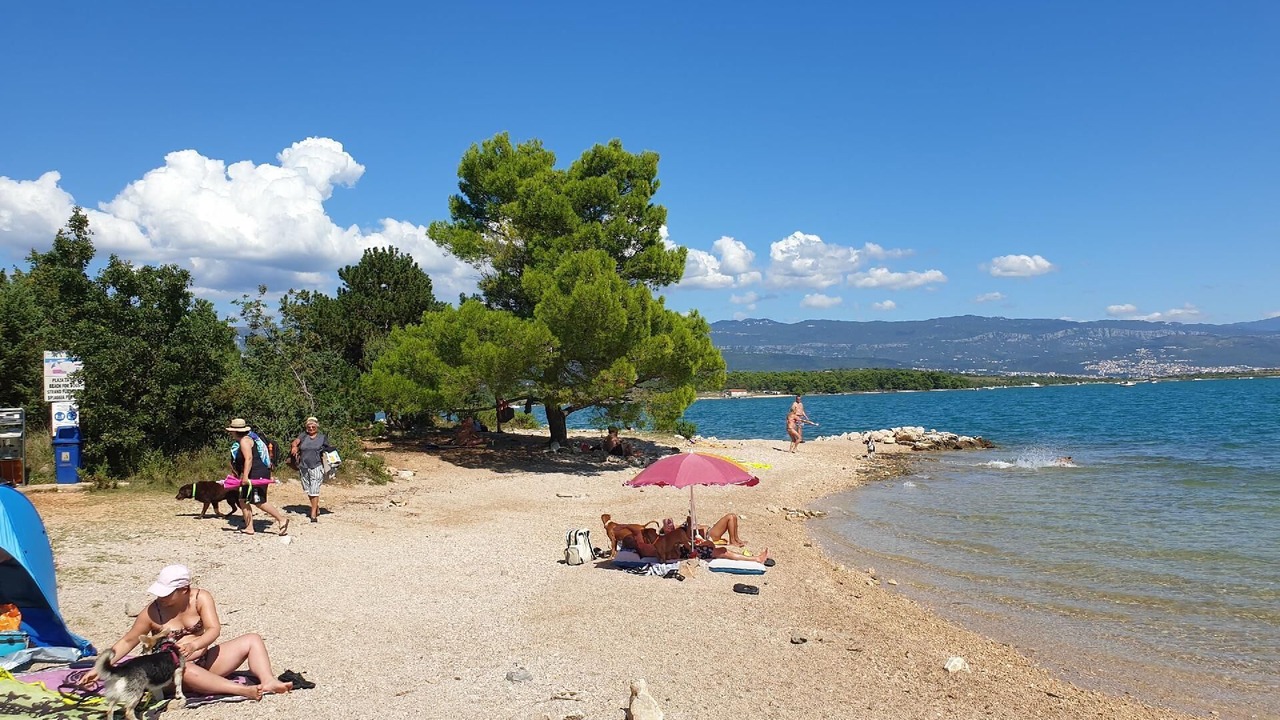 Photo of Others in Cizici