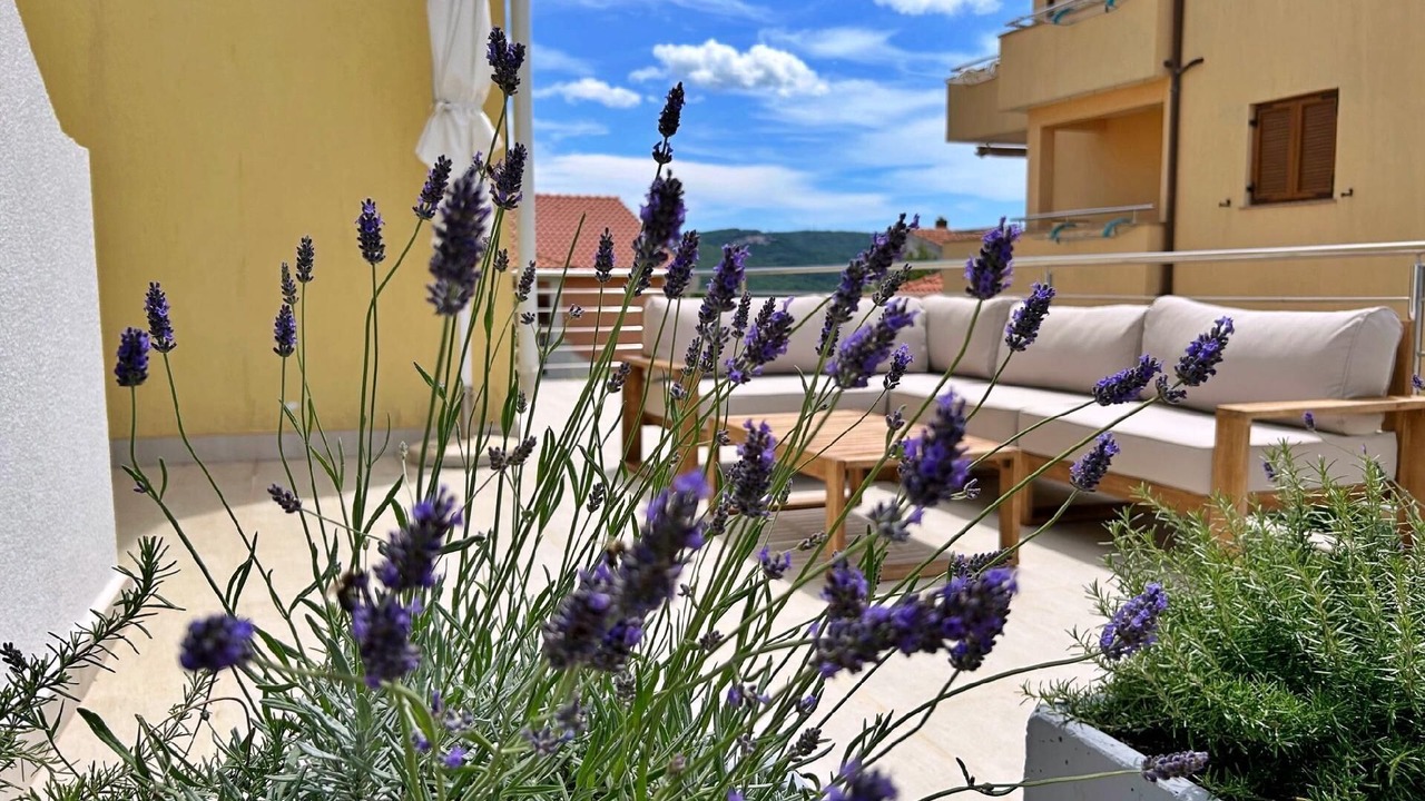Photo of Outdoor in Cizici
