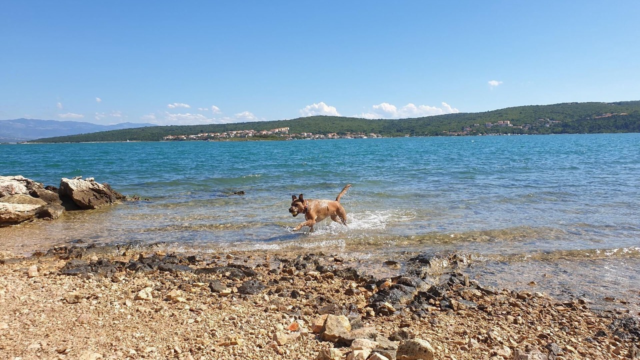 Photo of Others in Cizici