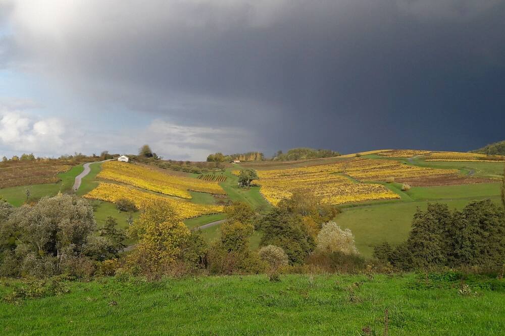 Photo of Others in Passenans