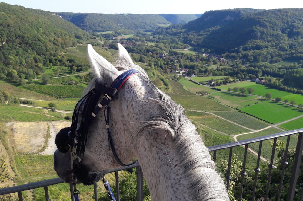 Photo of Outdoor in Passenans