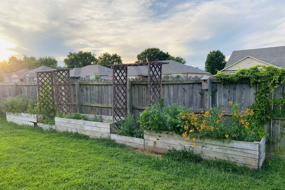 Photo of Outdoor in Bentonville