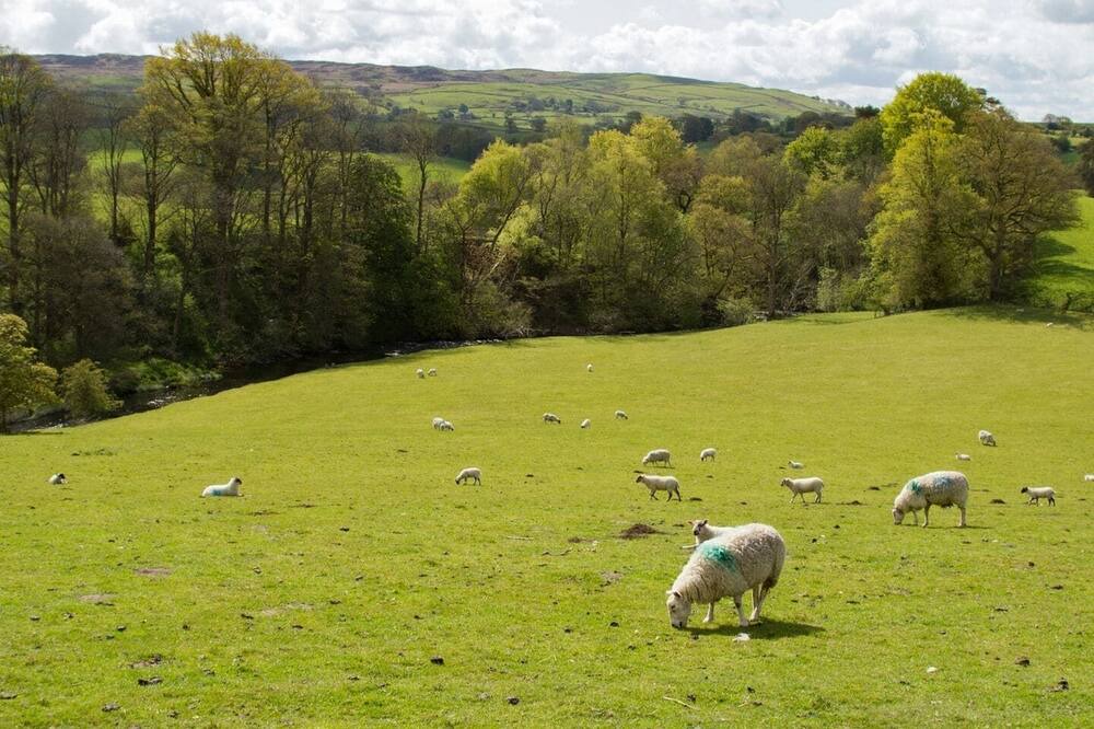 Photo of Others in Kendal