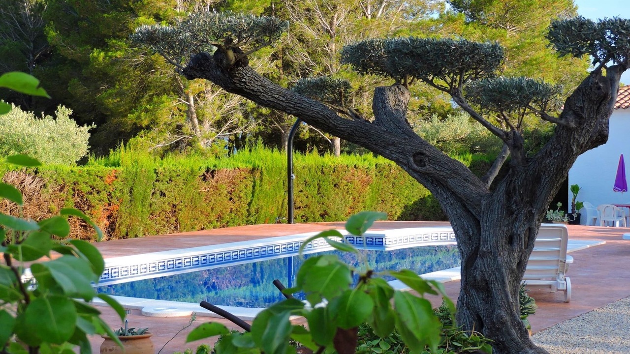 Photo of Outdoor in L Almadrava