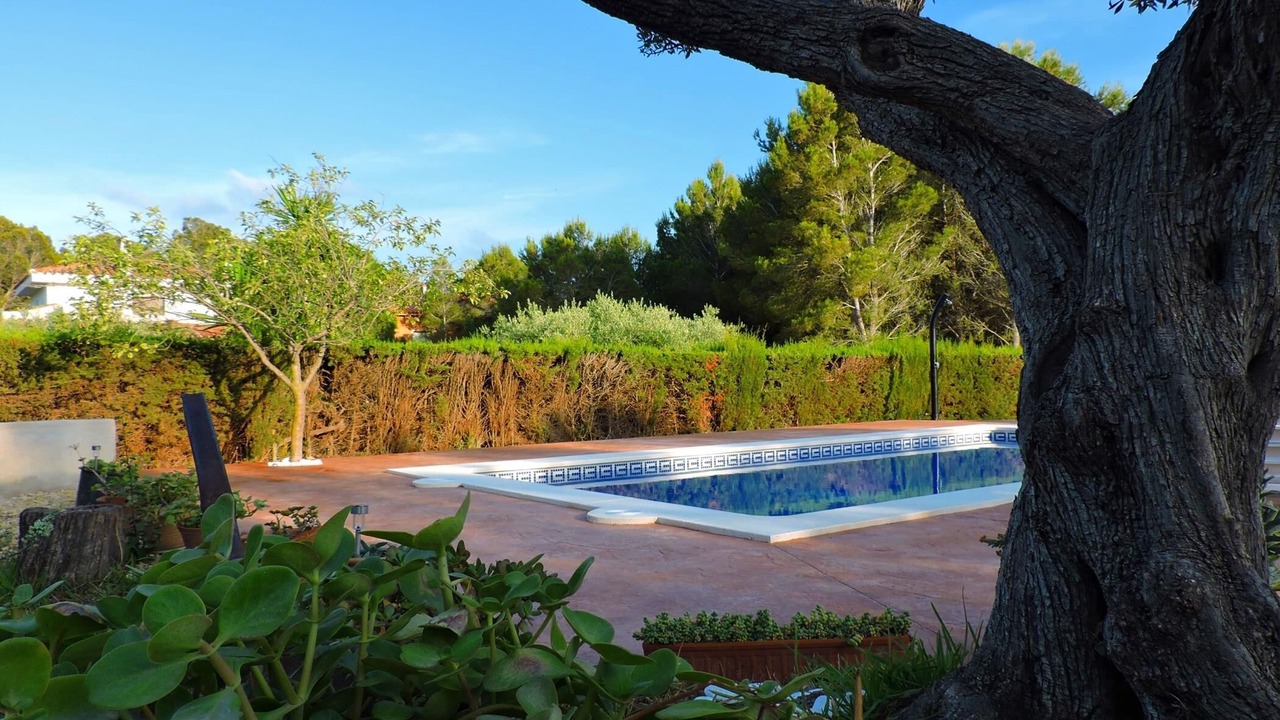 Photo of Outdoor in L Almadrava