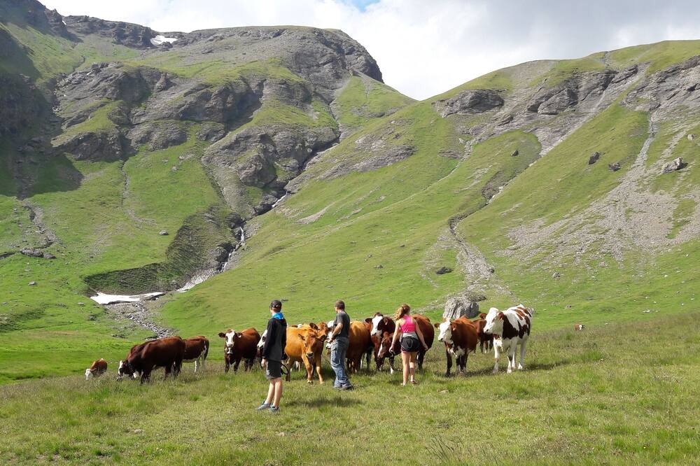 Photo of Others in Val Cenis