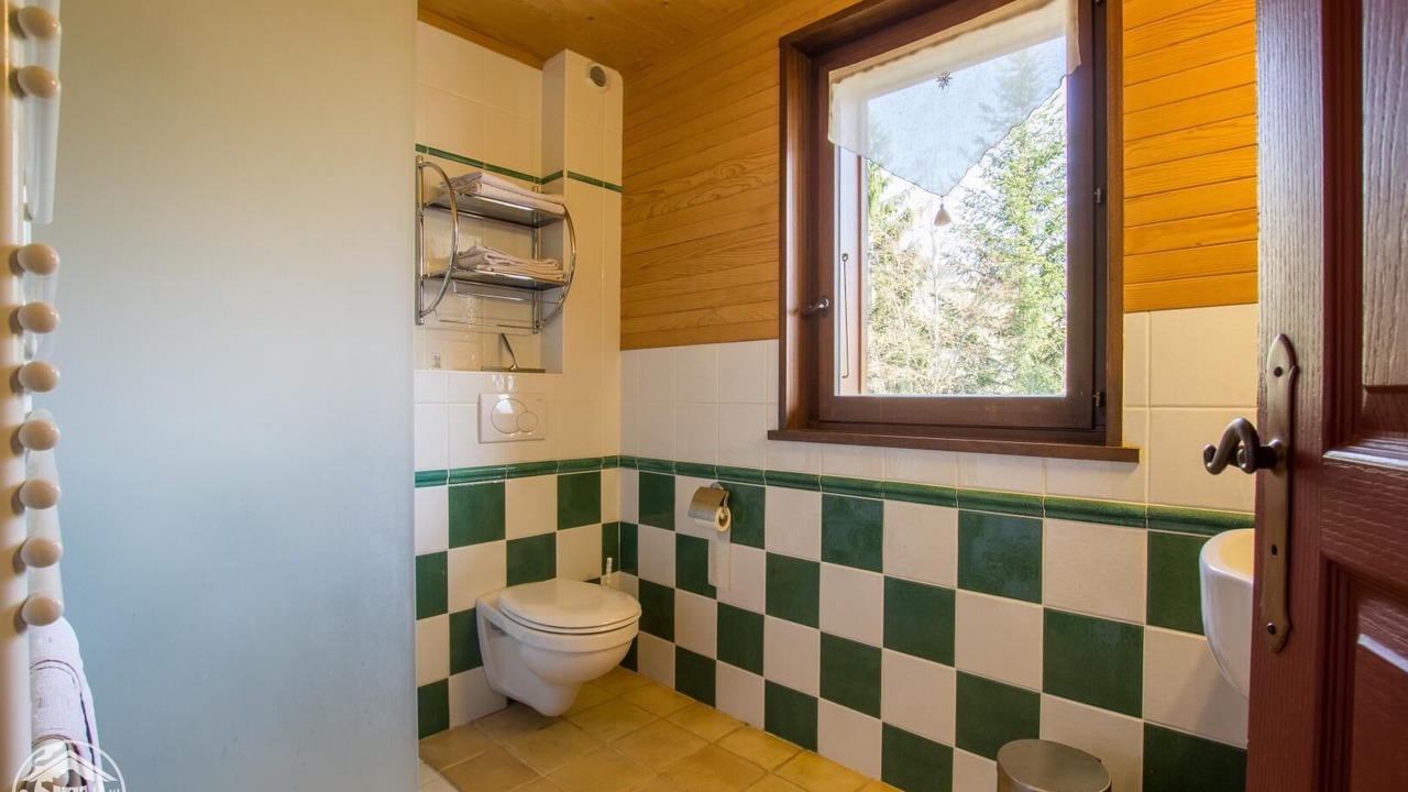 Photo of Bathroom in Seytroux