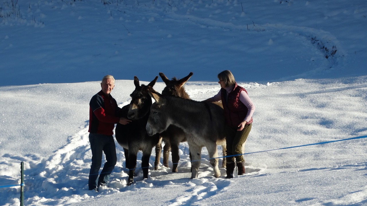 Photo of Outdoor in Seytroux