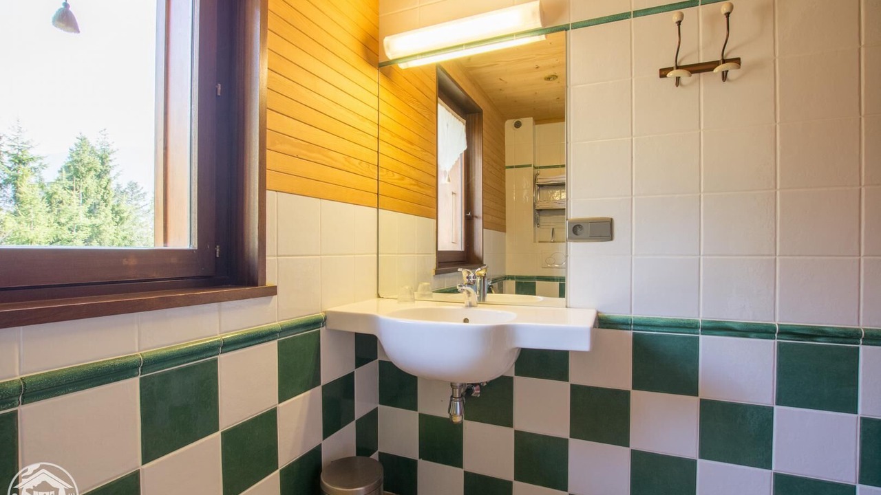 Photo of Bathroom in Seytroux