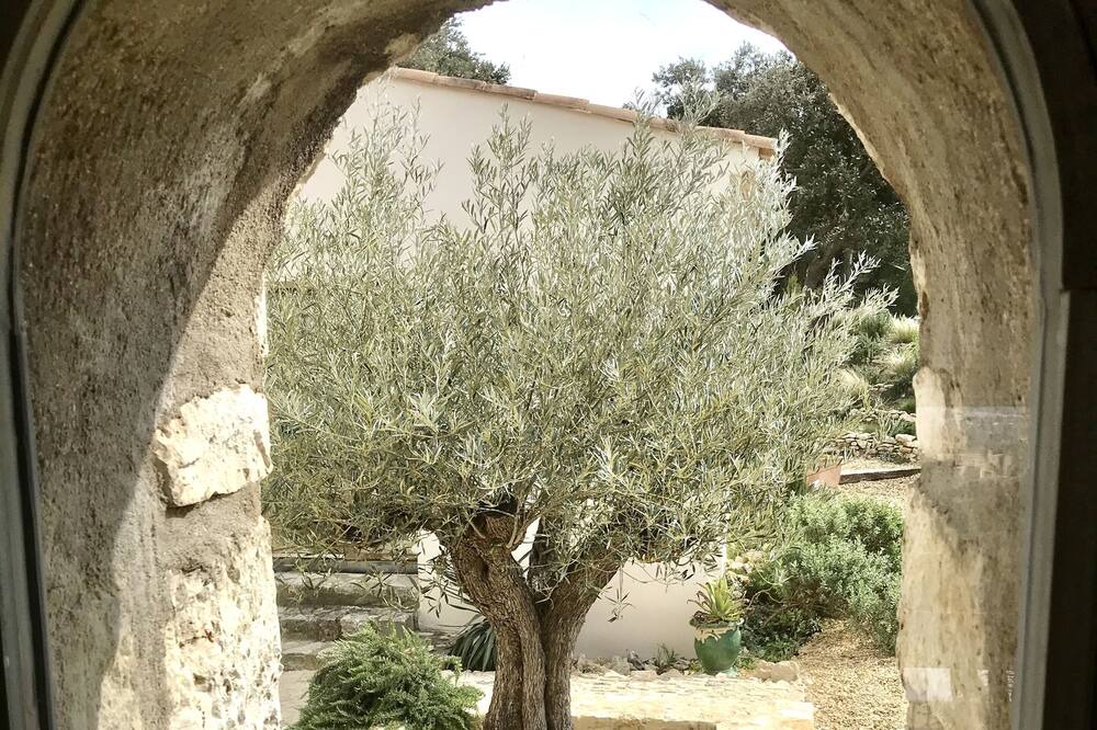 Photo of Outdoor in Saint-Siffret