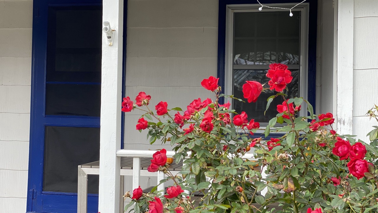 Photo of Outdoor in Town of Southold Town