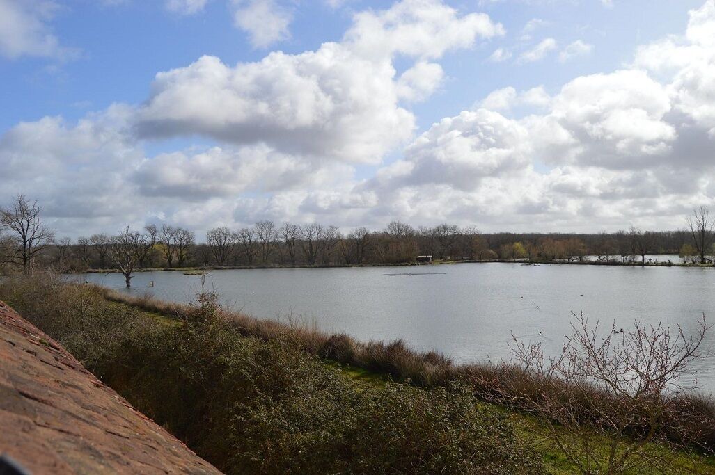 Photo of Others in Mezieres-en-Brenne