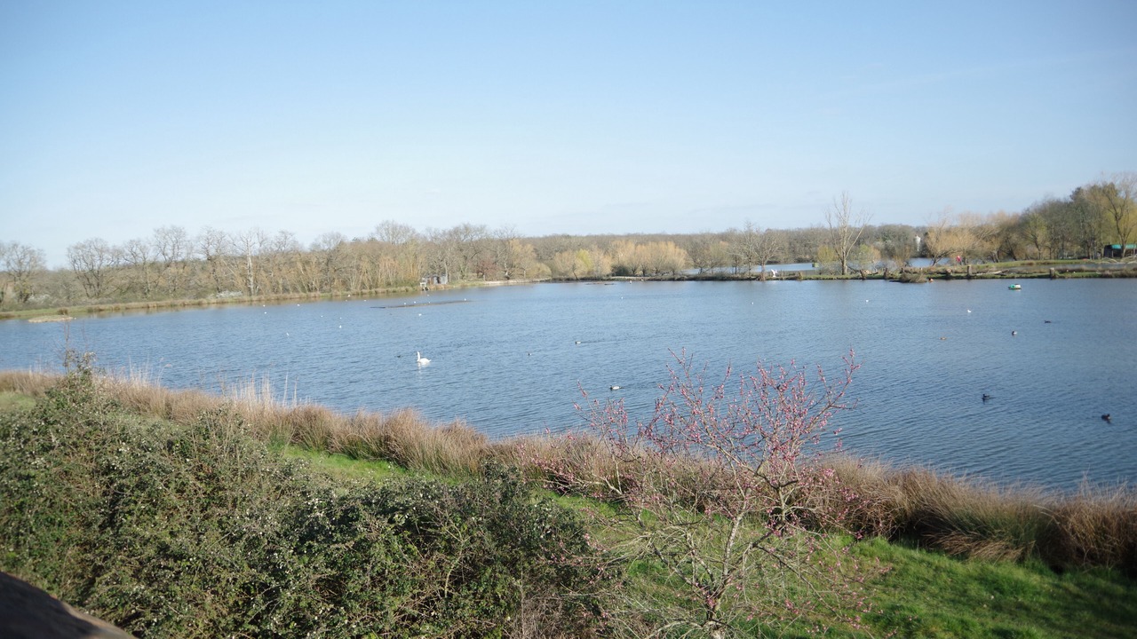 Photo of Others in Mezieres-en-Brenne