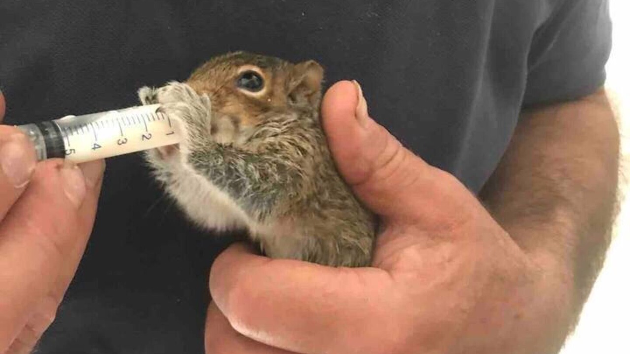 Photo of Outdoor in Corwen