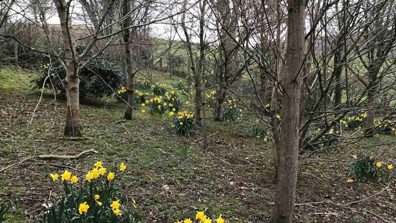 Photo of Outdoor in Corwen