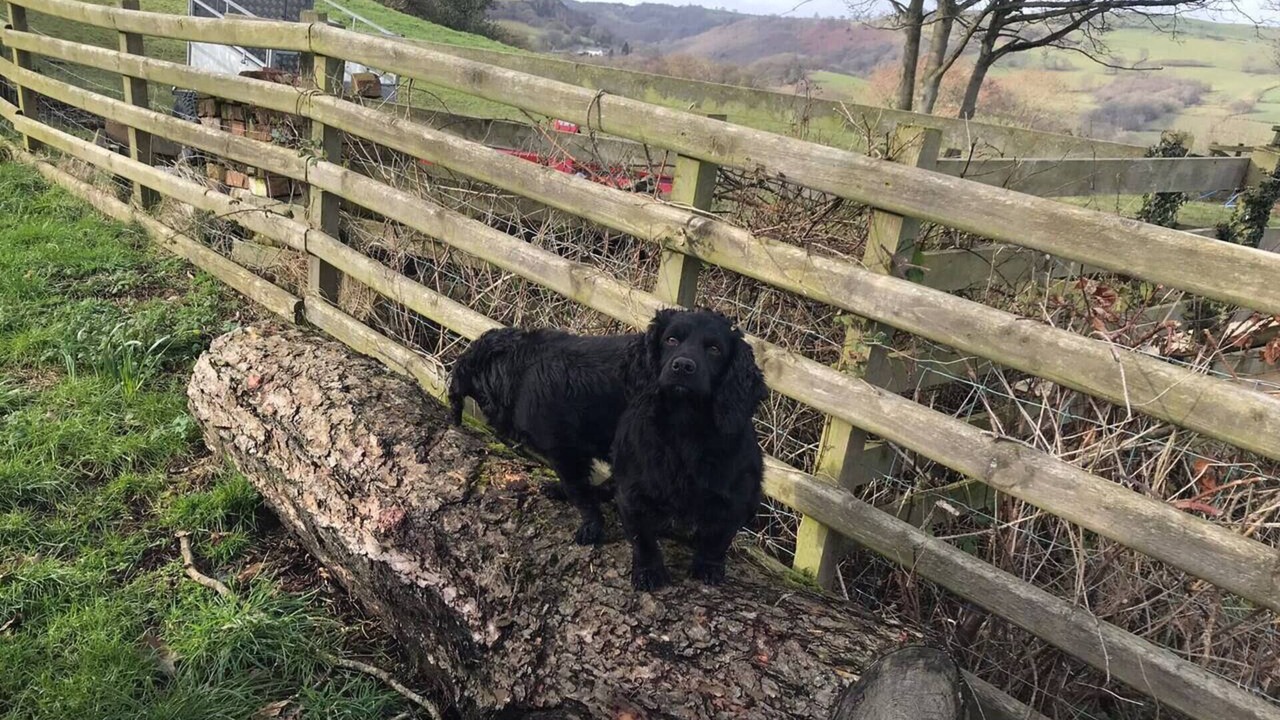 Photo of Others in Corwen