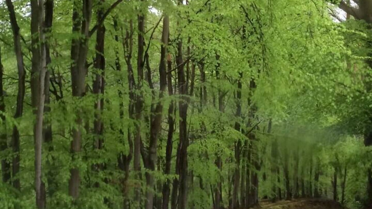 Photo of Others in Corwen