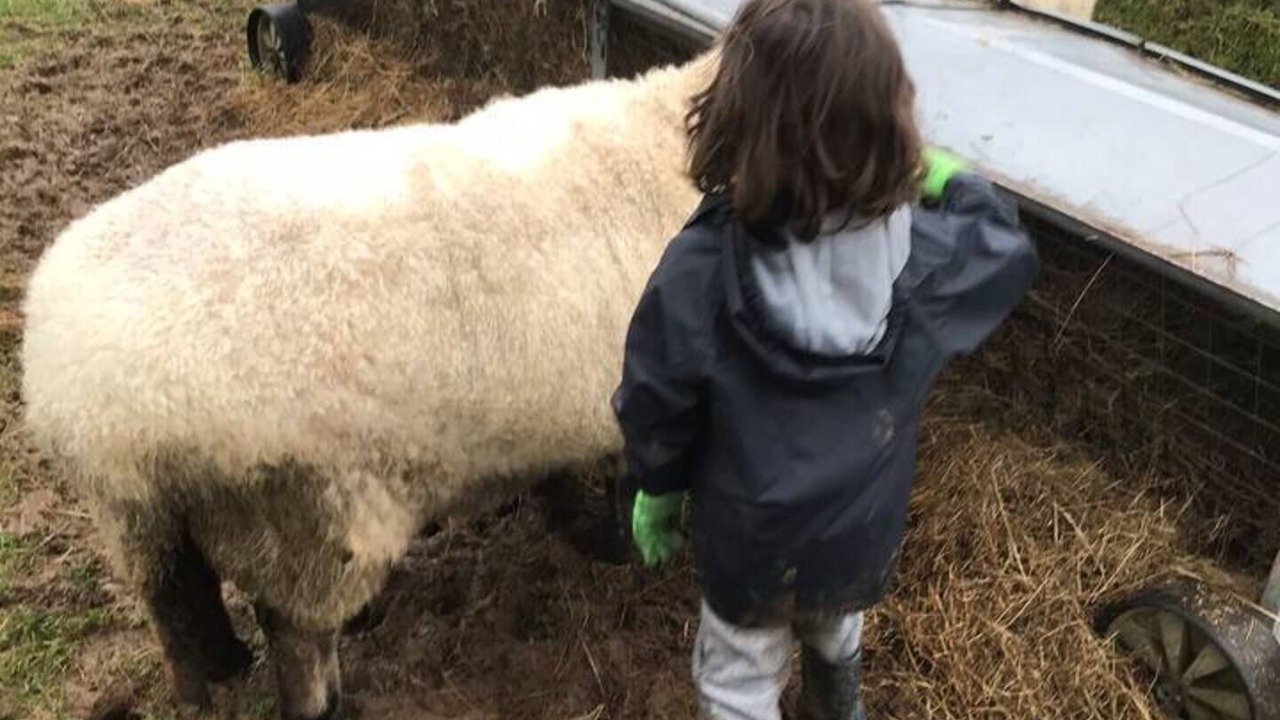 Photo of Others in Corwen