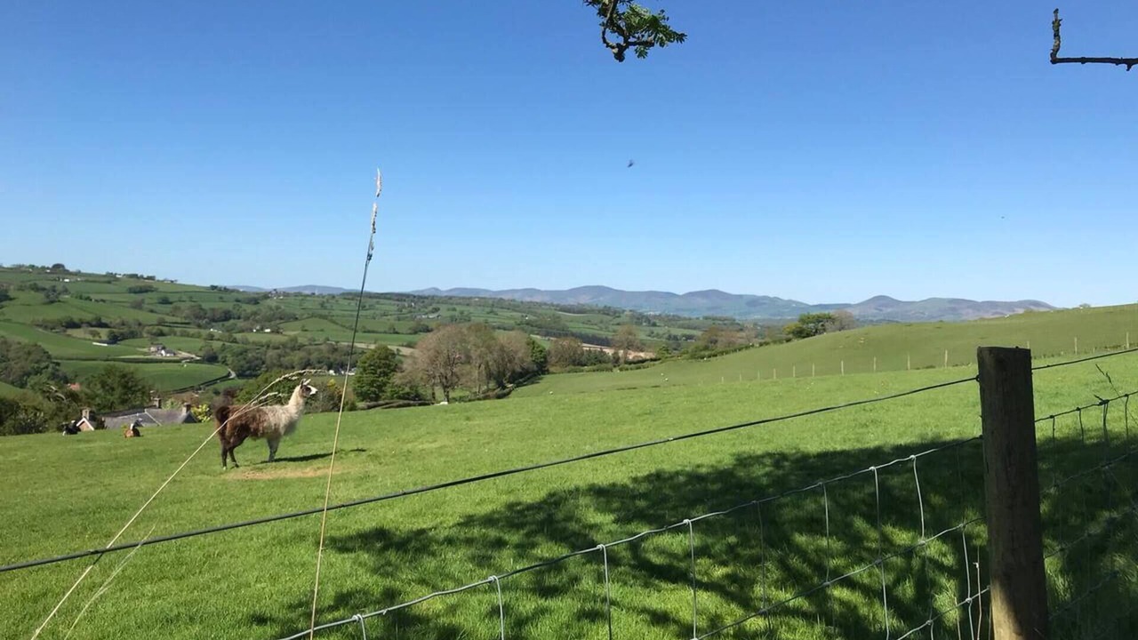 Photo of Others in Corwen