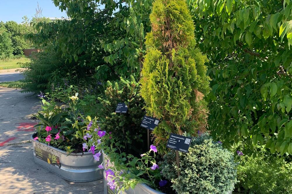 Photo of Outdoor in Columbus