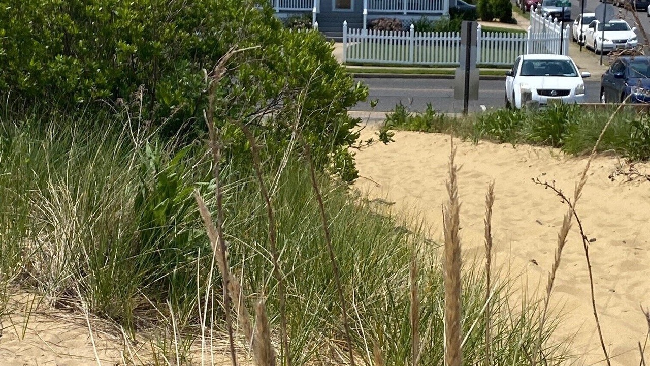 Photo of Outdoor in Keansburg