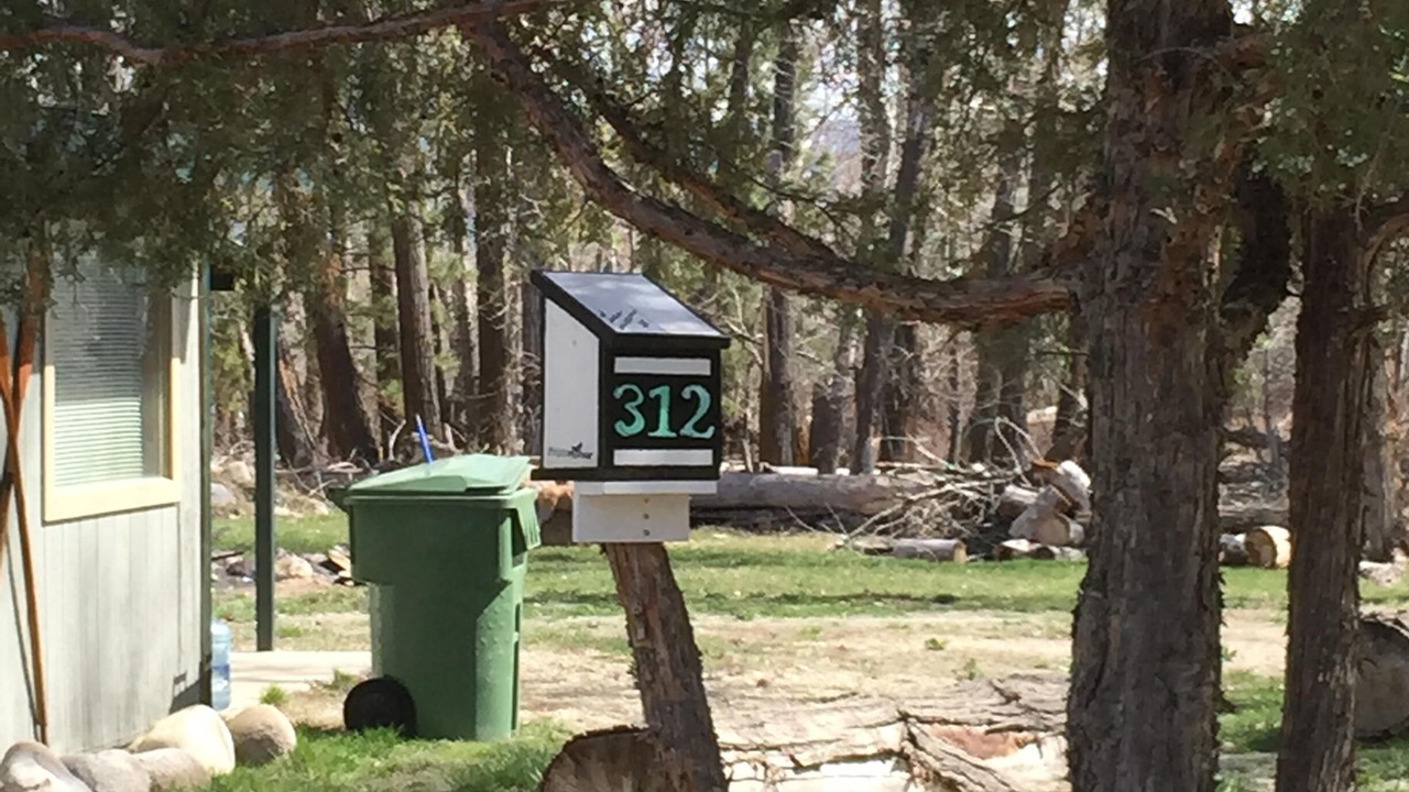 Photo of Outdoor in Hamilton