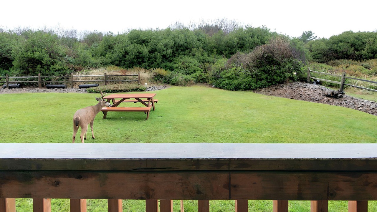 Photo of Outdoor in Ocean Shores