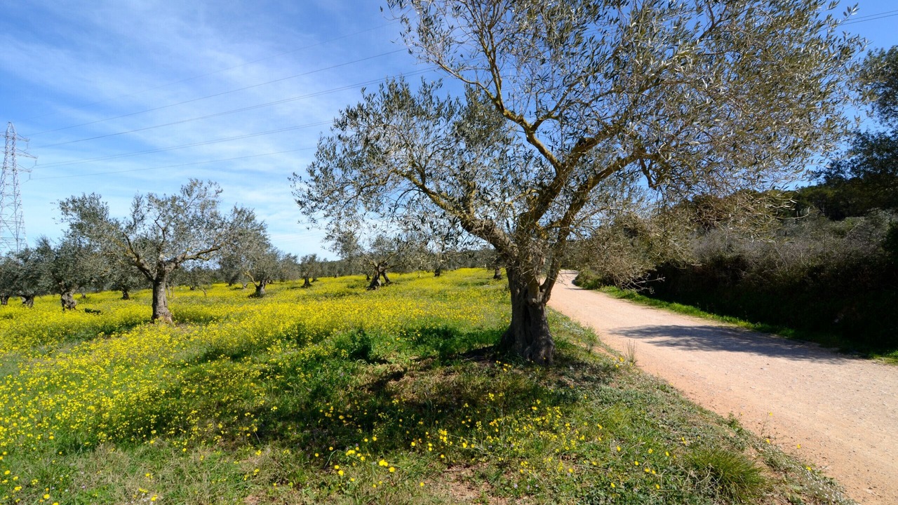 Photo of Outdoor in Torroella de Montgri