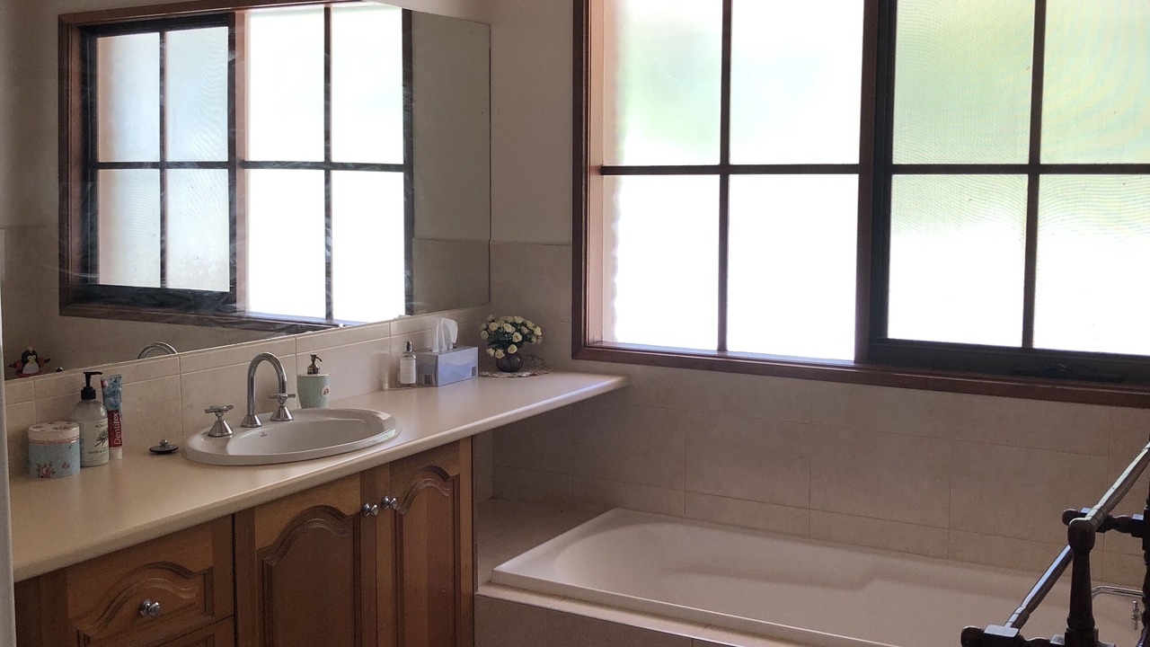 Photo of Others in Somerville