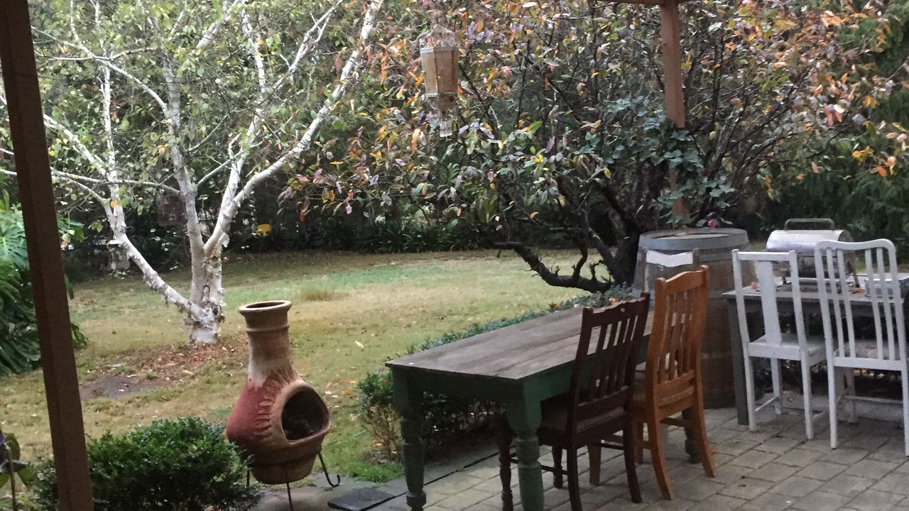 Photo of Outdoor in Somerville