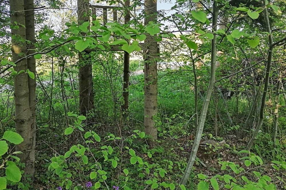 Photo of Outdoor in Skaverup