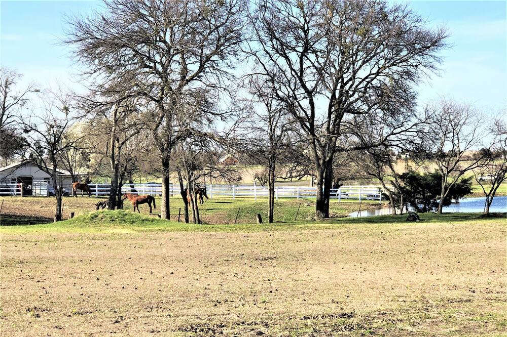 Photo of Others in Sachse