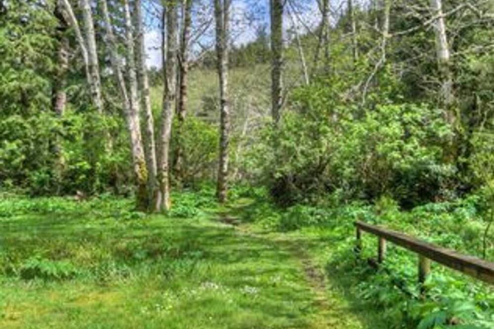 Photo of Outdoor in Yachats