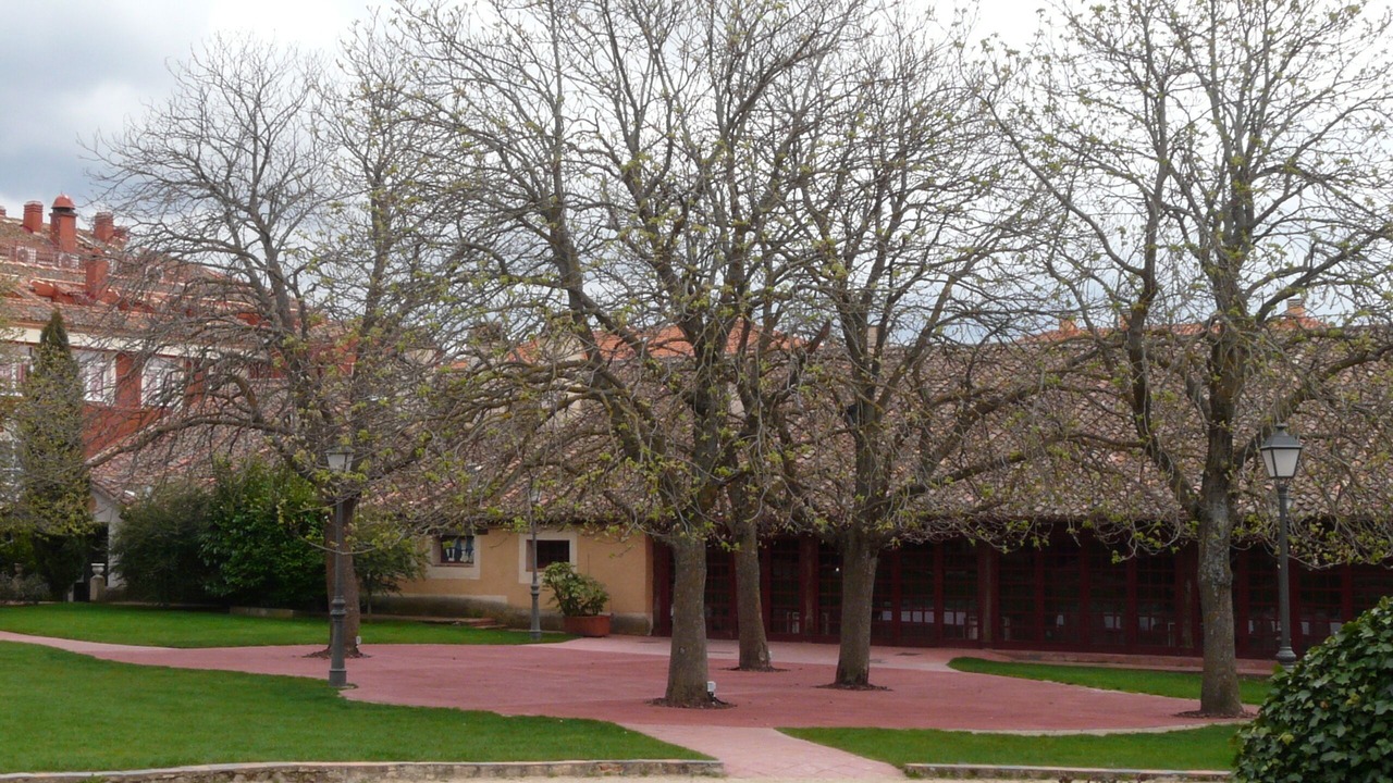 Photo of Others in Torrecaballeros