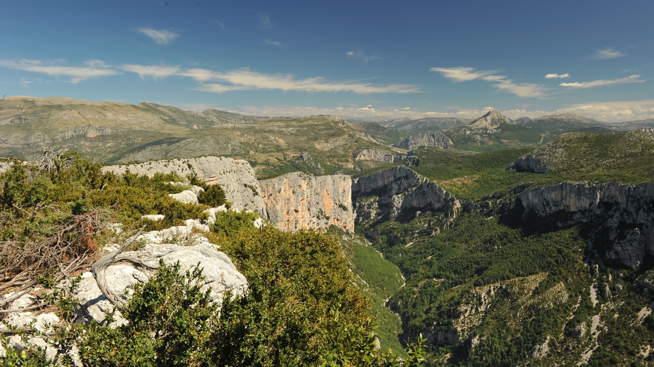 Photo of Outdoor in Saint-Jurs