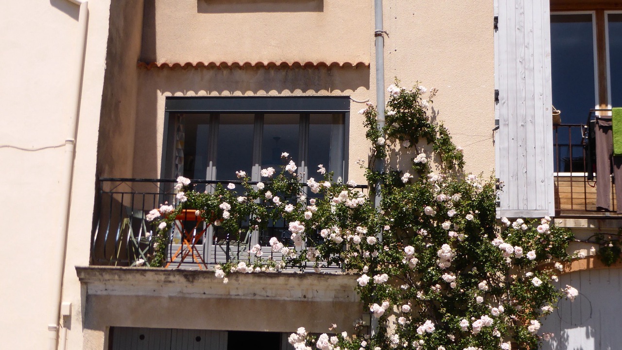 Photo of Outdoor in Saint-Jurs